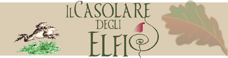 Holidays House Casolare degli Elfi