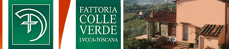 Agriturismo Fattoria Colle Verde