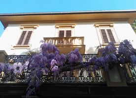 Appartamenti Villa Violetta
