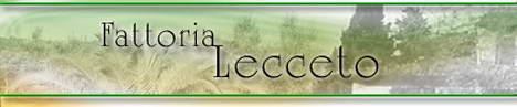 Farm Holidays Fattoria Lecceto