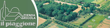 Agriturismo Il Piaggione