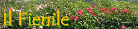 Landh�user Il Fienile
