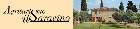 Appartamenti Il Saracino