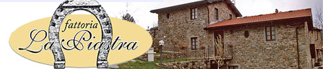 Farm Holidays Fattoria la piastra