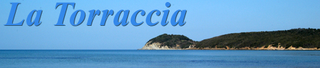 Affittacamere La Torraccia