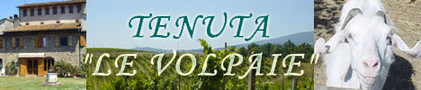 Agriturismo Le Volpaie