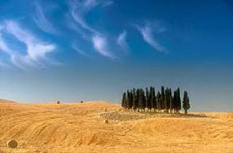 Agriturismo Le Tre Berte