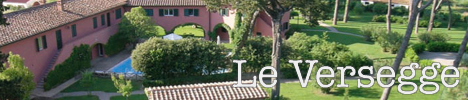 Apartment Le Versegge