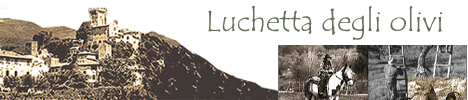 Agriturismo Luchetta degli Ulivi