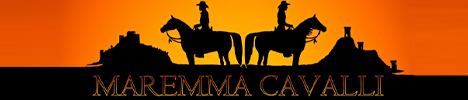 Turismo equestre Maremma Cavalli