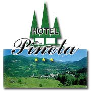 Hotel Hotel Pineta