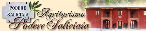 Agriturismo Podere Saliciaia