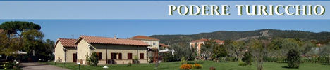 Affittacamere Podere Turicchio