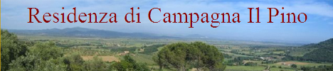 Bed and Breakfast Residenza di campagna Il Pino