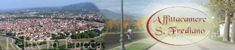 Zimmer san frediano