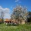 Landh�user Agriletizia
