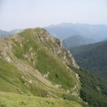 Granduca