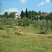 Il Belvedere Country-houses