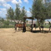 Casa Lemmi