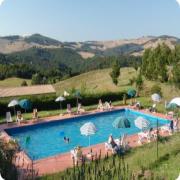 Orgiaglia