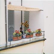 Il Magnifico