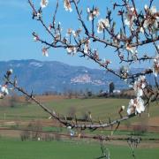 Pratovalle