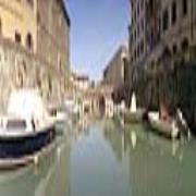 Scama