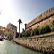 Scama