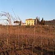 La Capannaccia