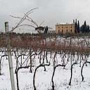 La Capannaccia