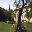 Immobilienb�ro Christian Volpi
