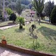 Sorgente