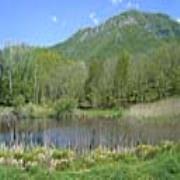 La Margine