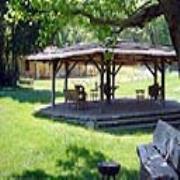 Le Casacce