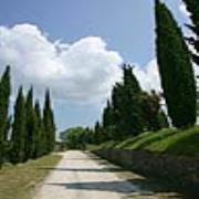 Le Casacce