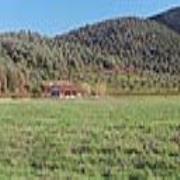 Le Giunchiglie