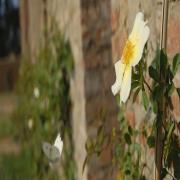 Relais St Elena
