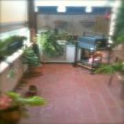 Casalbosco