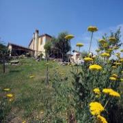 Residenza Le Rondini