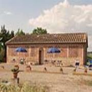 Il Gattero