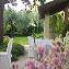 Bed and Breakfast Casa Simonetti