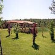 Le Terre di Toscana
