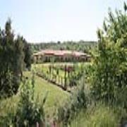 Le Terre di Toscana