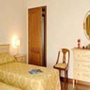 Olmo