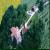Sorbigliana