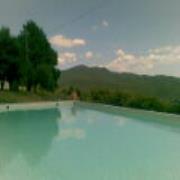Villanovia