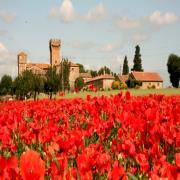 Castello di Spedaletto
