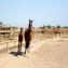 Turismo equestre La Serrata
