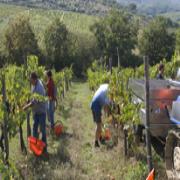 Corte di Valle