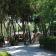  PINETA CAMPING